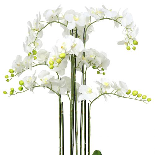 Floristik24 Storczyk biały na kuli 118cm