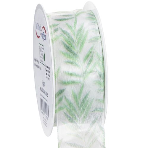 Floristik24 Wstążka organza, wstążka szyfonowa, zielona wstążka roślinna, 40 mm x 15 m