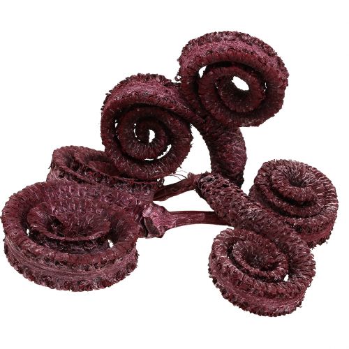 Produkt Palm Male Czerwony, bielony 25 szt