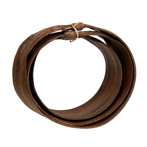 Floristik24 Zestaw liści palmowych natura 21cm -26cm