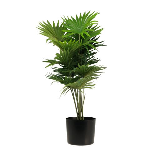 Floristik24 Palma dekoracyjna wachlarz palmowy sztuczne rośliny doniczkowe zielone 80cm