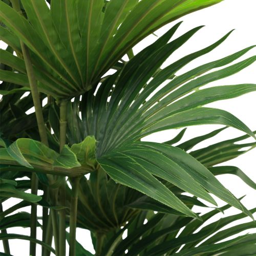 Floristik24 Palma dekoracyjna wachlarz palmowy sztuczne rośliny doniczkowe zielone 80cm