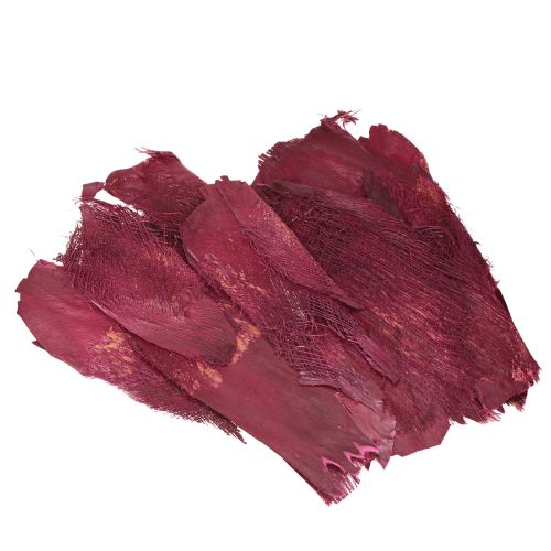 Floristik24 Włókno palmowe naturalne dekoracyjne włókno naturalne Berry 25-50cm 250g