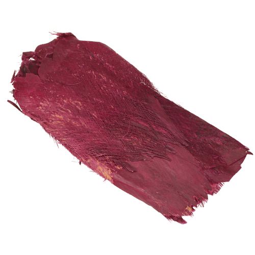 Floristik24 Włókno palmowe naturalne dekoracyjne włókno naturalne Berry 25-50cm 250g