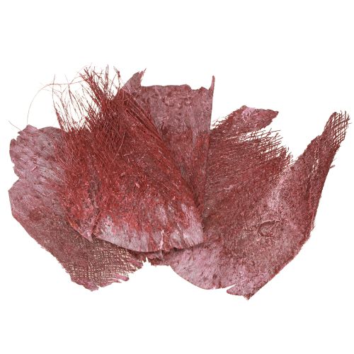 Floristik24 Włókno palmowe do rękodzieła Bordeaux bielone 20-40cm 250g