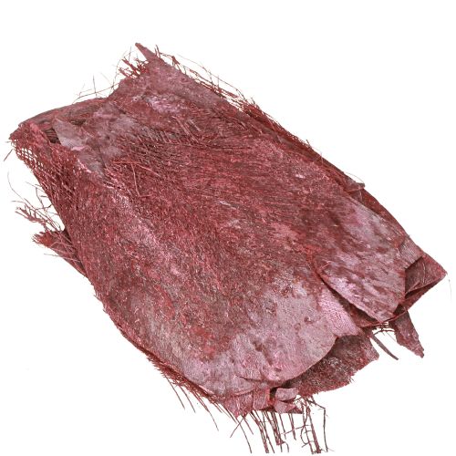 Produkt Włókno palmowe do rękodzieła Bordeaux bielone 20-40cm 250g