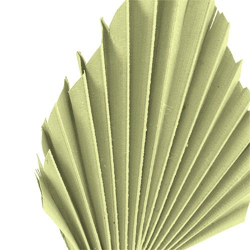 Produkt Palmspear zielone jabłko bielone 65 szt