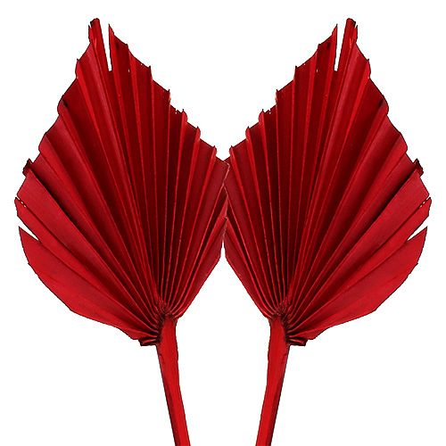 Produkt Palmspear Czerwona 65 szt