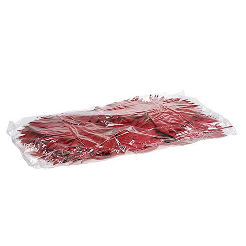 Produkt Palmspear Czerwona 65 szt