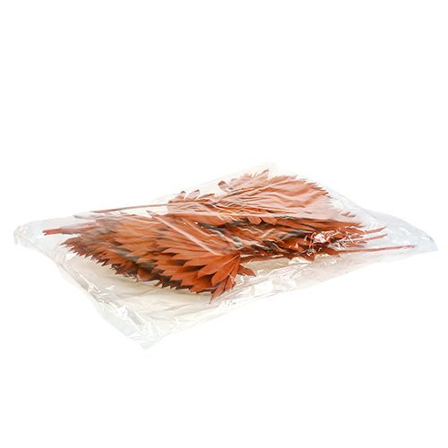 Produkt Palmspear Słoneczna Pomarańcza 30 szt