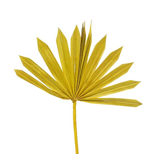 Palmspear Sun mini żółty 50p