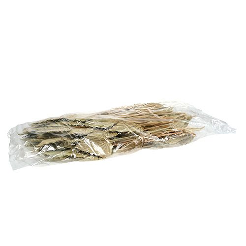 Produkt Palmspear mini natura 100 szt
