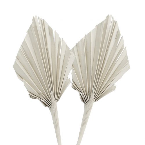 Produkt Palmspear Mini White myte 100 szt