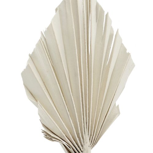 Produkt Palmspear Mini White myte 100 szt