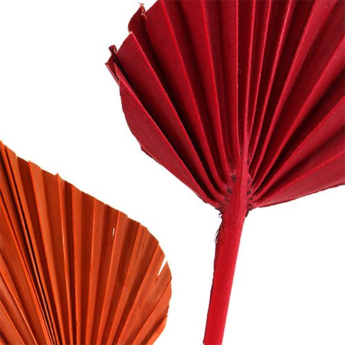 Produkt Palmspear mix czerwony/pomarańczowy 50 szt
