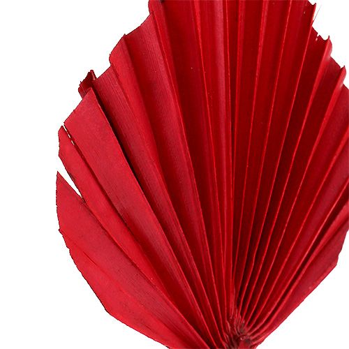 Produkt Palmspear mini czerwona 100 szt