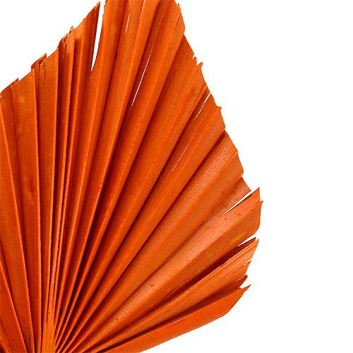 Produkt Palmspear Pomarańczowy 65 szt
