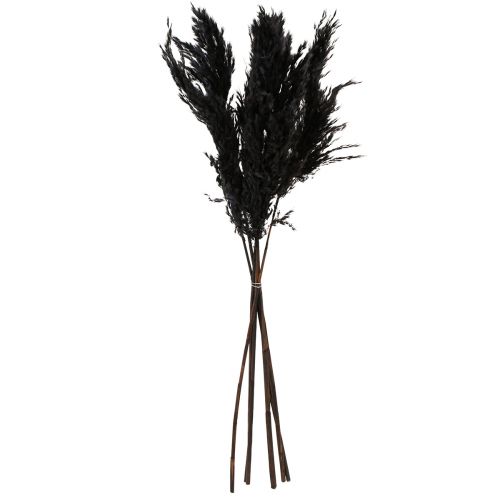 Produkt Trawa pampasowa czarna 65-75cm sucha trawa naturalna dekoracja 6 sztuk