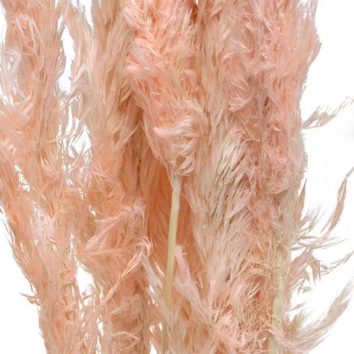 Produkt Suszone trawy pampasowe różowe suszone kwiaty naturalna dekoracja 65-75cm 6 szt