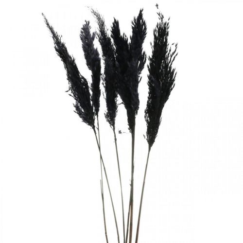 Trawa pampasowa czarna 65-75cm sucha trawa naturalna dekoracja 6 sztuk