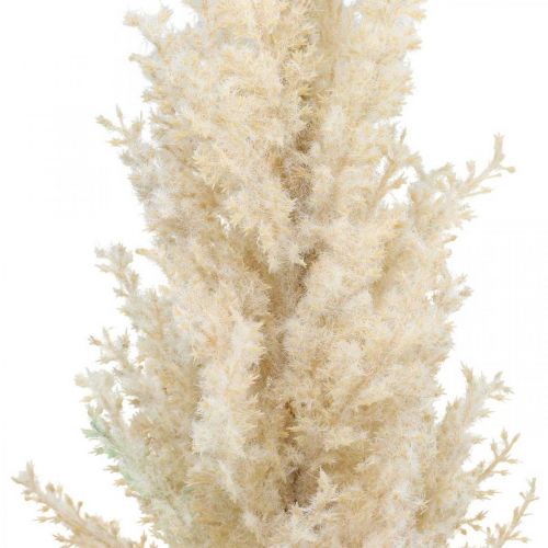 Floristik24 Pampas Grass Cream Sztuczna sucha florystyka Deco Grass 72cm