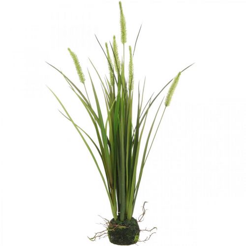 Floristik24 Sztuczna trawa trzcinowa z kulą korzeniową sztuczna roślina wys.63cm