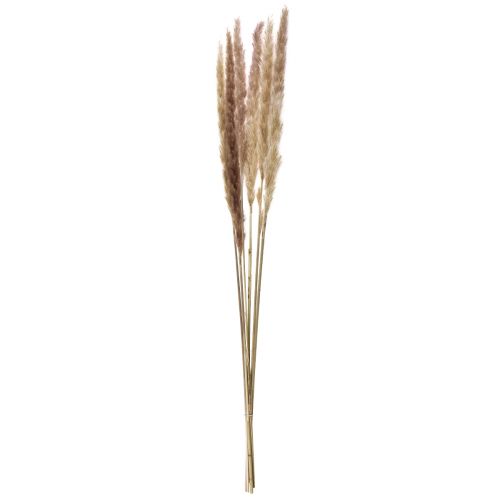 Produkt Dekoracja z trawy pampasowej Suszona naturalna dekoracja sucha 70cm 6 szt.