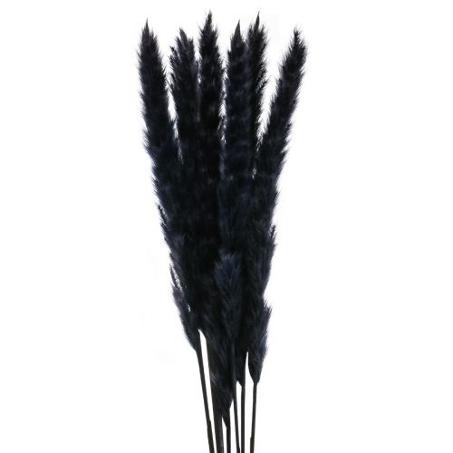 Floristik24 Trawa pampasowa czarna suszona sucha dekoracja L72cm 6 szt