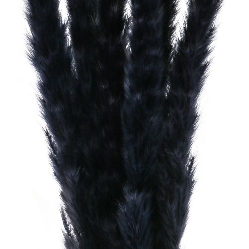 Produkt Trawa pampasowa czarna suszona sucha dekoracja L72cm 6 szt