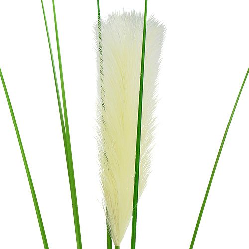Produkt Fronty trawy pampasowej kremowo zielone H100cm