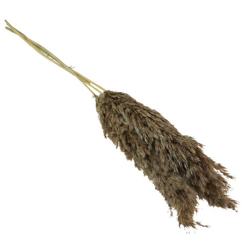 Produkt Trawa pampasowa suszona dekoracyjna sucha trawa naturalna 95cm 3 szt