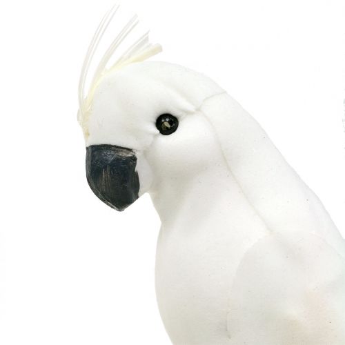 Produkt Papuga z Piórami Biały Sztuczny Kakadu Ptak Dekoracyjny 4szt.