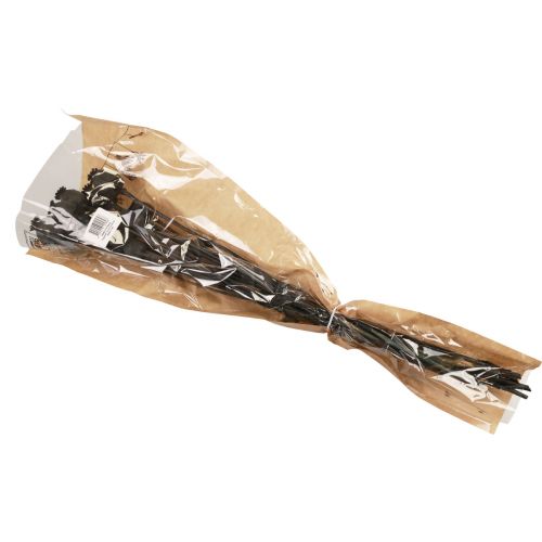 Floristik24 Suszony kwiat maku w kapsułkach suszony Papaver Czarny 80g
