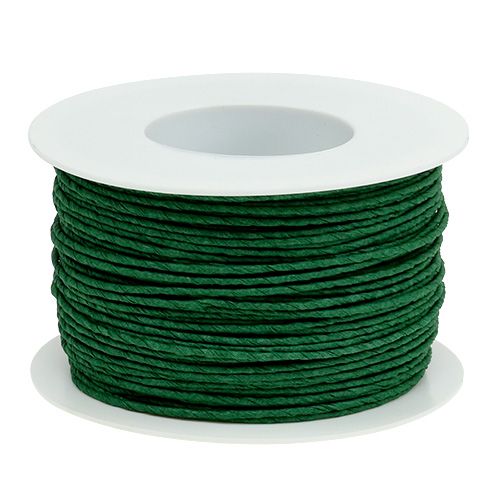 Produkt Drut papierowy owinięty Ø2mm 100m zielony
