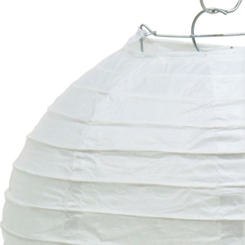 Floristik24 Lampion papierowy biały Ø20cm