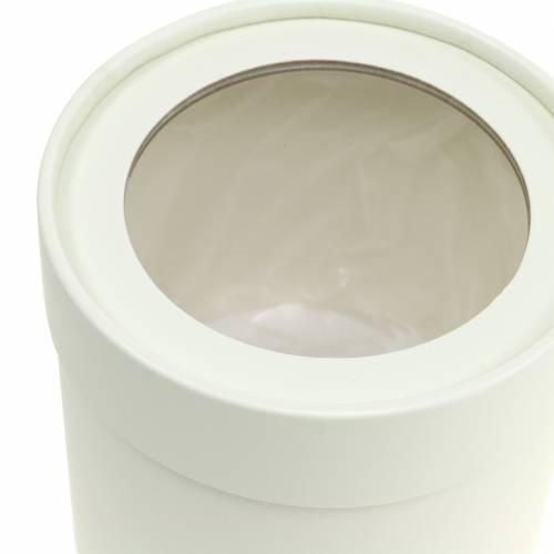 Produkt Pudełko na kwiaty okrągłe, kartonowe, kremowe Ø10/12cm, zestaw 2 szt