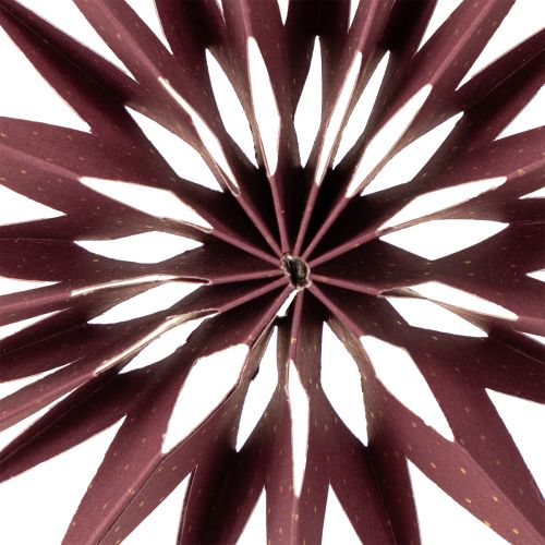 Produkt Gwiazdki papierowe, bordowy róż, do zawieszenia, Ø10cm, 4 sztuki