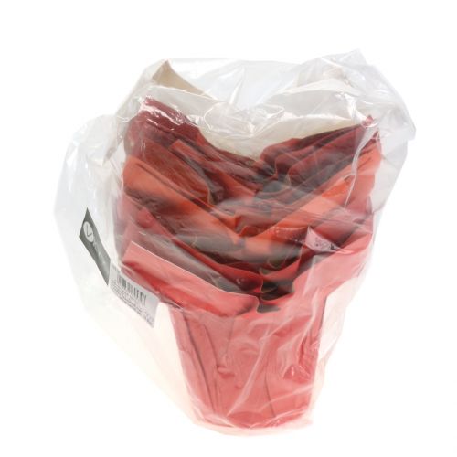 Floristik24 Doniczka papierowa Cachepot pomarańczowa/czerwona Ø10cm 12szt.
