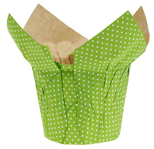 Floristik24 Garnek papierowy Ø10cm W8cm zielony 8szt