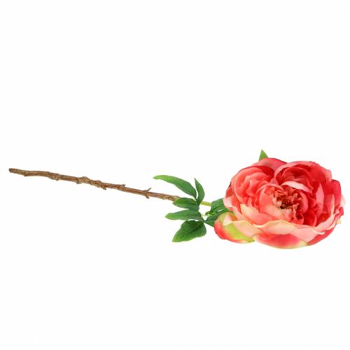Floristik24 Piwonia Różowa 59cm
