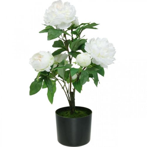 Produkt Sztuczna Paeonia, piwonia w doniczce, roślina ozdobna białe kwiaty wys.57cm