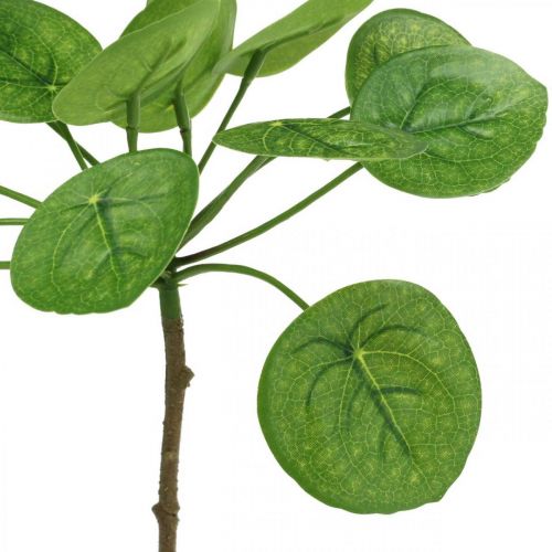 Floristik24 Peperomia Sztuczna zielona roślina z liśćmi 30cm
