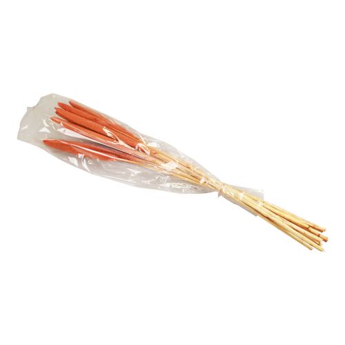 Produkt Trzciny prosa perłowego Babala proso pomarańczowe 70cm 10 szt