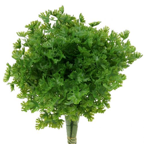 Floristik24 Pietruszka sztuczna zielona 26cm 3szt