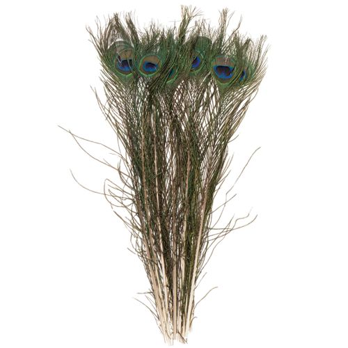 Produkt Pióra pawie, prawdziwe pióra ptasie do rękodzieła i dekoracji, 55 cm, 10 sztuk