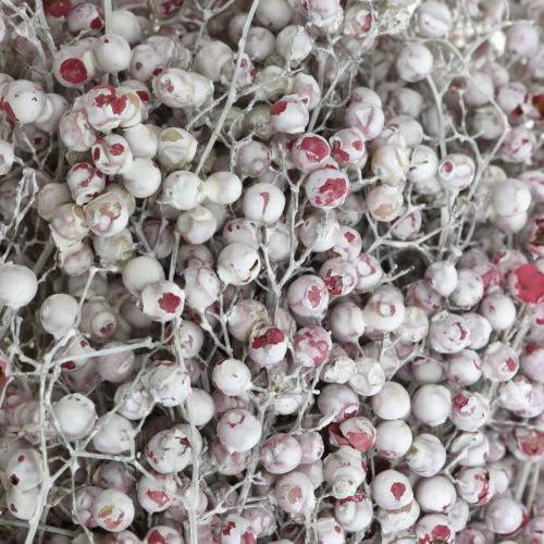 Produkt Papryka śnieżna jagody, dekoracja zimowa, suszone kwiaty, adwent, pieprz różowy myty biały 170g
