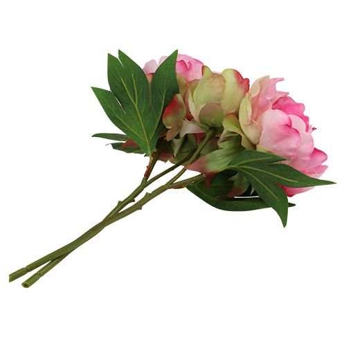 Floristik24 Piwonie z pąkiem różowe L30cm 2szt