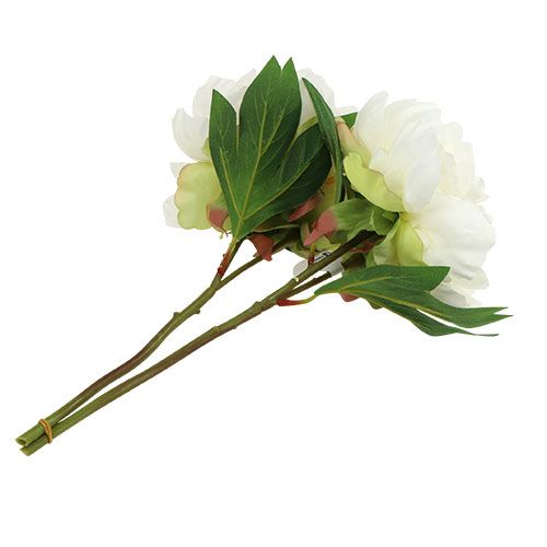Floristik24 Piwonia z pąkiem biała L30cm 2szt.