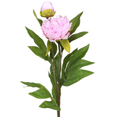 Produkt Kwiaty sztuczne piwonii różowe z długą łodygą 70cm 3szt