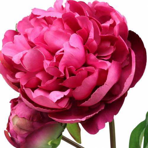Floristik24 Sztuczny kwiat piwonii z kwiatem i pąkiem purpurowy purpurowy 68cm